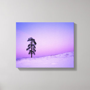VS, Washington, Spokane County, Riverside Canvas Afdruk