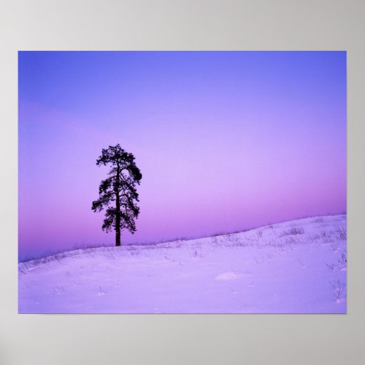 VS, Washington, Spokane County, Riverside Poster (Voorkant)