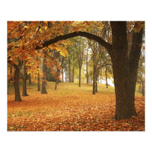 VS, Washington, Spokane, Manito Park, Herfst 2 Foto Afdruk