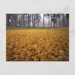 VS, Washington, Spokane, Manito Park, Herfst Briefkaart