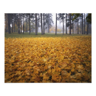 VS, Washington, Spokane, Manito Park, Herfst Foto Afdruk