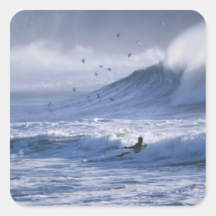 VS, Washington State, La Push. Man kayak Vierkante Sticker