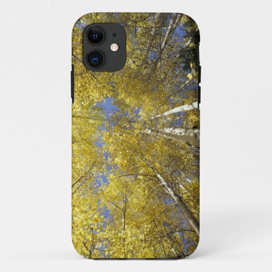 VS, Washington, Stevens Pass Herfstgekleurde esp Case-Mate iPhone Case (Achterkant)