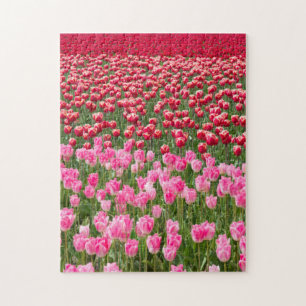 VS, Washington. Veld met kleurrijke tulpen Legpuzzel