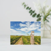 VS, Washington, Walla Walla. Cabernet Sauvignon Briefkaart (Staand voorkant)