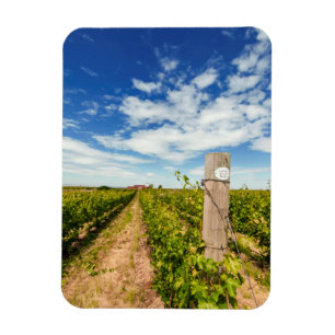 VS, Washington, Walla Walla. Cabernet Sauvignon Magneet
