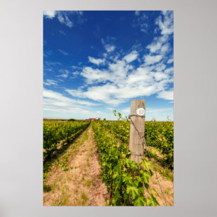 VS, Washington, Walla Walla. Cabernet Sauvignon Poster
