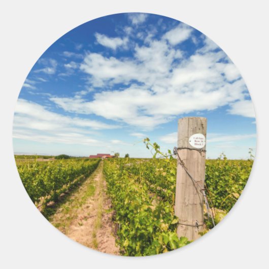 VS, Washington, Walla Walla. Cabernet Sauvignon Ronde Sticker (Voorkant)