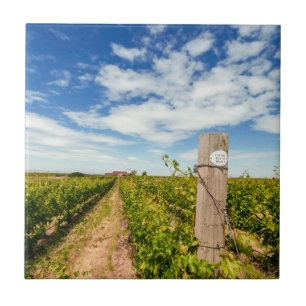 VS, Washington, Walla Walla. Cabernet Sauvignon Tegeltje