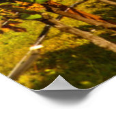 VS, Washington, Whidbey Island. Winery Poster (Hoek)