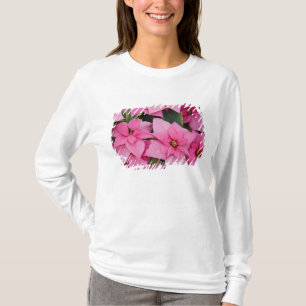 VS, Washington, Woodinville, Molbak's Nursery, 3 T-shirt