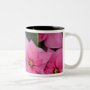 VS, Washington, Woodinville, Molbak's Nursery, 3 Tweekleurige Koffiemok