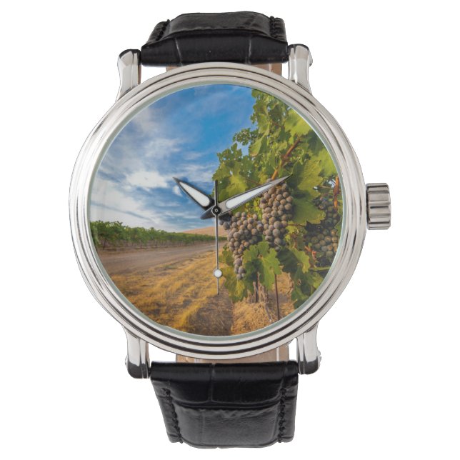 VS, Washington, Yakima Valley. Merlot Grapes Horloge (Voorkant)