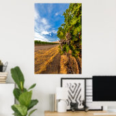 VS, Washington, Yakima Valley. Merlot Grapes Poster (Thuiskantoor)