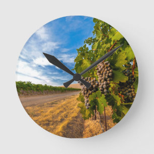 VS, Washington, Yakima Valley. Merlot Grapes Ronde Klok