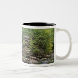 VS, West Virginia, Babcock SP. Rustic Glade Tweekleurige Koffiemok