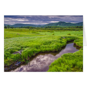 VS, West Virginia, Davis. Landschap 2