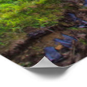 VS, West Virginia, Davis. Landschap 2 Poster (Hoek)