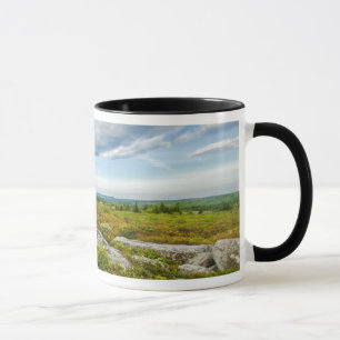 VS, West Virginia, Davis. Landschap in Dolly Mok