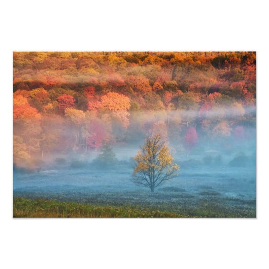 VS, West Virginia, Davis. Misty valley en Foto Afdruk (Voorkant)