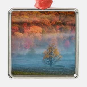 VS, West Virginia, Davis. Nevelige vallei en Metalen Ornament