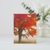 VS, West Virginia, Davis. Roodespel in herfst Briefkaart (Staand voorkant)