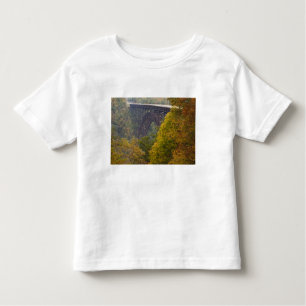 VS, West Virginia, Fayetteville. Nieuwe rivier Kinder Shirts