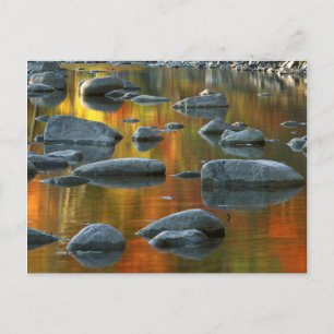 VS, West Virginia, Spruce Knob-Seneca Rocks 3 Briefkaart