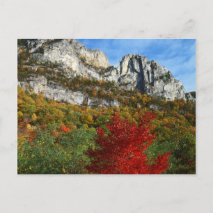 VS, West Virginia, Spruce Knob-Seneca Rocks Briefkaart