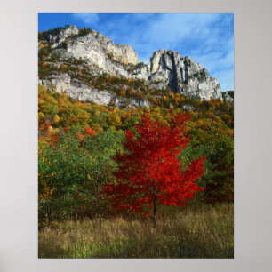 VS, West Virginia, Spruce Knob-Seneca Rocks Poster