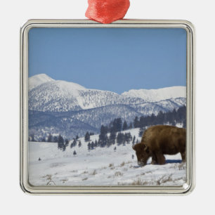 VS, WY, Yellowstone NP, American Bison Bison Metalen Ornament