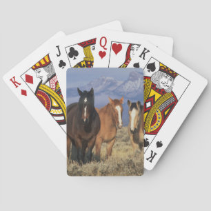 VS, Wyoming, bij Cody Groep paarden Pokerkaarten