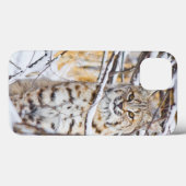 VS, Wyoming, Bobcat Case-Mate iPhone Case (Achterkant (horizontaal))