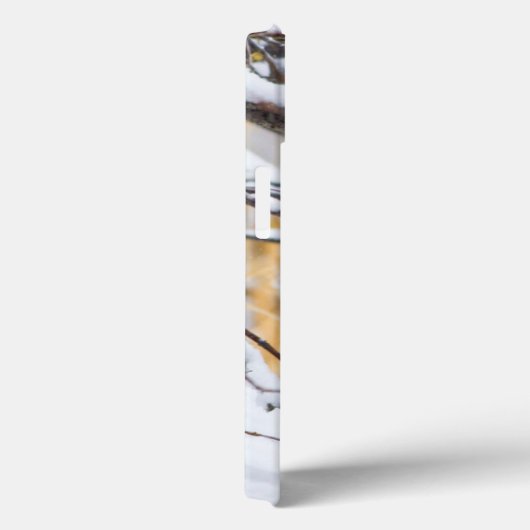 VS, Wyoming, Bobcat Case-Mate iPhone Case (Achterkant / Rechts)