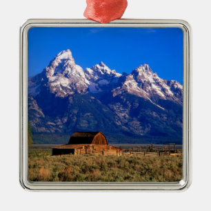 VS, Wyoming, Grand Teton National Park, Ochtend Metalen Ornament