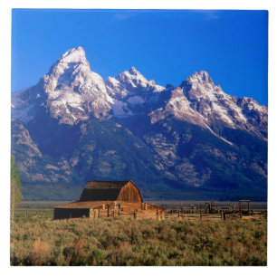 VS, Wyoming, Grand Teton National Park, Ochtend Tegeltje