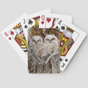 VS, Wyoming, Grand Teton National Park Pokerkaarten