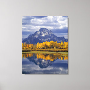 VS, Wyoming, Grand Teton NP. Tegen de Canvas Afdruk