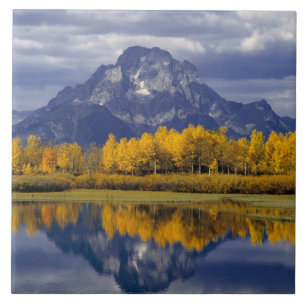 VS, Wyoming, Grand Teton NP. Tegen de Tegeltje