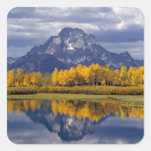 VS, Wyoming, Grand Teton NP. Tegen de Vierkante Sticker