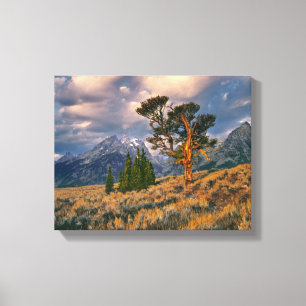 VS, Wyoming, Grand Teton NP. Zonsopgang begroet ee Canvas Afdruk