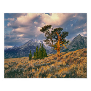 VS, Wyoming, Grand Teton NP. Zonsopgang begroet ee Foto Afdruk