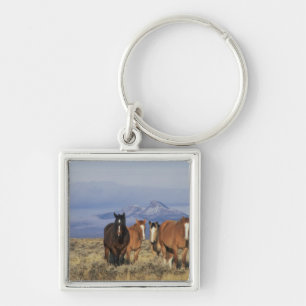 VS, Wyoming, nabij Cody Groep paarden Sleutelhanger