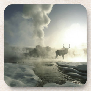 VS, Wyoming, Nationaal park Yellowstone. Zonsopgan Bier Onderzetter
