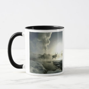 VS, Wyoming, Nationaal park Yellowstone. Zonsopgan Mok
