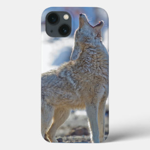 VS, Wyoming, Yellowstone National Park, Coyote iPhone 13 Hoesje