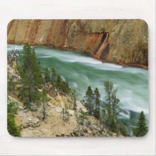 VS, Wyoming, Yellowstone National Park Muismat