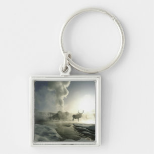 VS, Wyoming, Yellowstone National Park. Zonsopgang Sleutelhanger