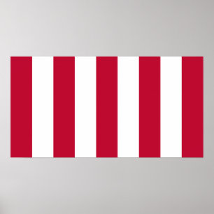 VS Zonen van de Vrijheid 9 Strepen Vlag Poster