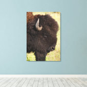 VS, Zuid Dakota, Amerikaans bizon (Bison bison) Canvas Afdruk (Insitu (Houten vloer))